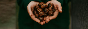 Lume, castañas e a tradición do magosto